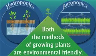 An infographic comparing hydroponic plants in water with aeroponic plants in mist, noting both methods are environmentally friendly.