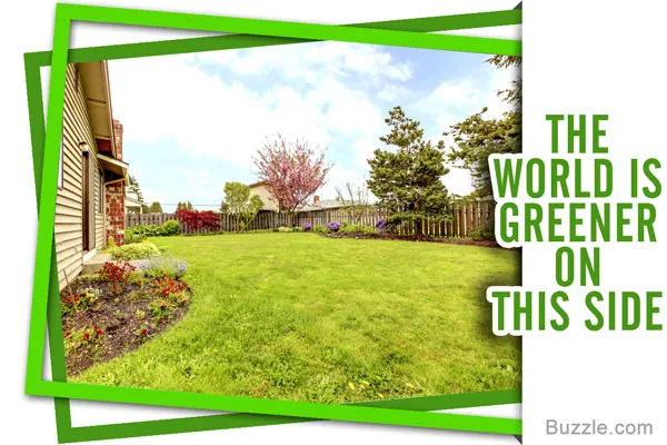 A front yard with a large green lawn, flower beds along the house, and trees near a wooden fence under a blue sky.