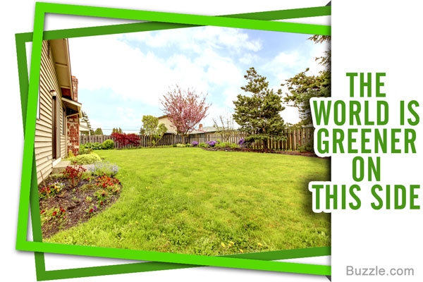 8 Beautiful Ideas for a Unique Yet Attractive Grassless Front Yard