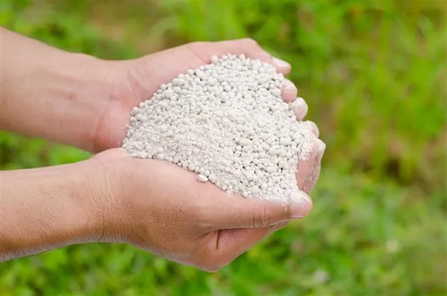 A pair of hands holding a mound of white granular fertilizer pellets against a blurred green garden background.