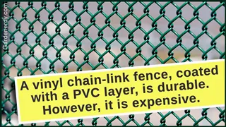 A green chain-link fence with a yellow text box explaining the durability and expense of vinyl fencing.
