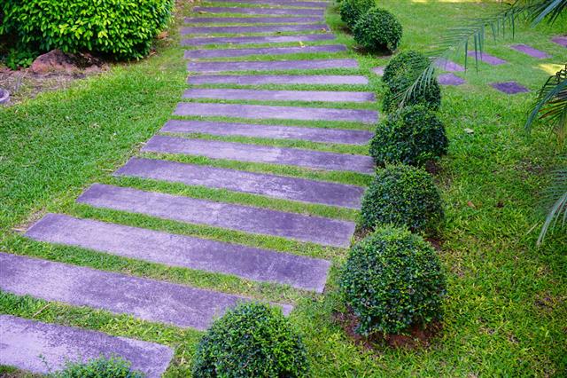 DIY Guide on How to Make Concrete Stepping Stones for Your Garden