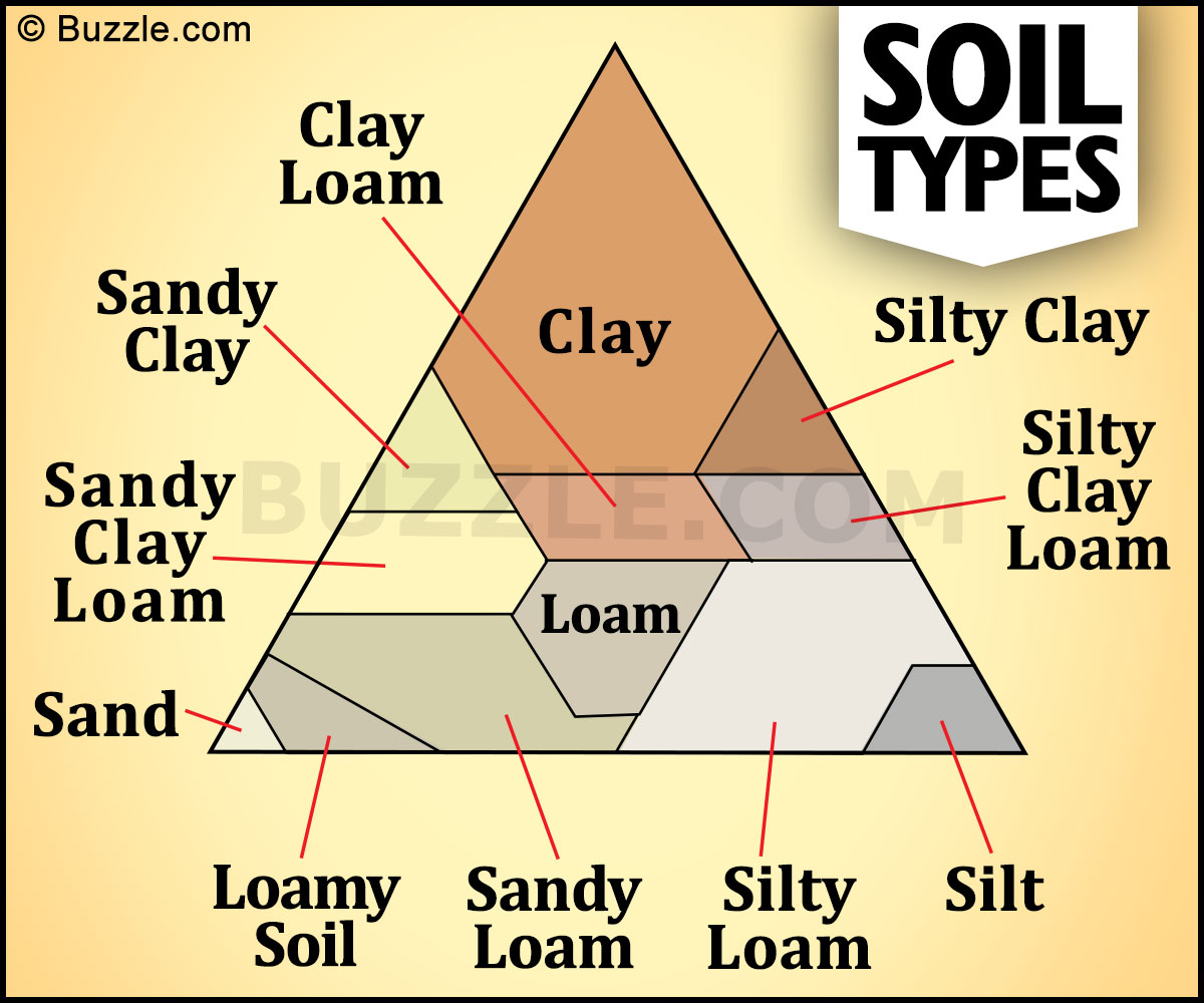 A List of Different Types of Soil You Haven't Seen Before