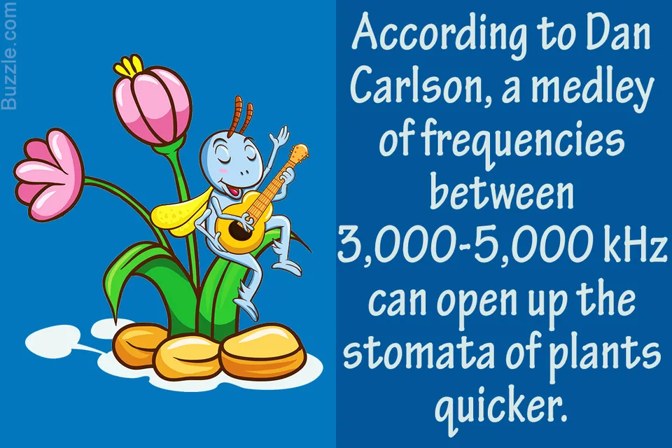 Cartoon illustration of a blue insect playing a guitar next to pink tulips on a blue background.