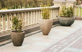Three large stone planters with small evergreen trees sit on a tiled terrace behind a balustrade.