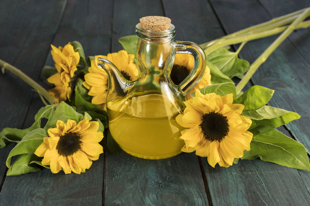 A Plethora of Facts About the Radiant and Resplendant Sunflower