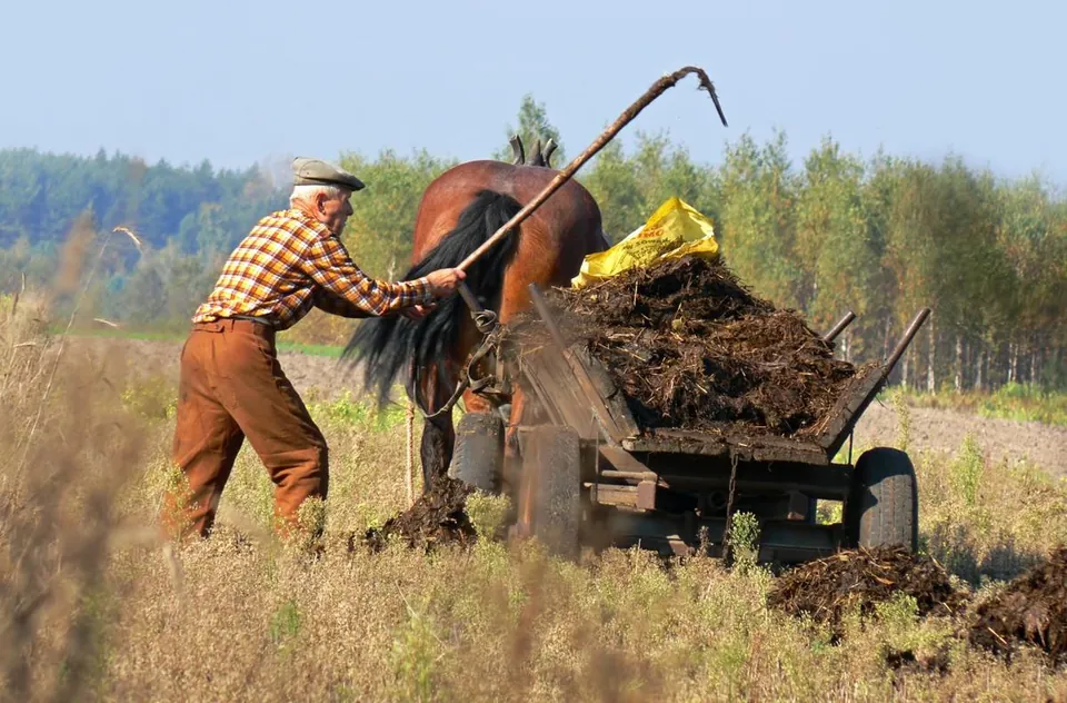 Do You Know the Key Ingredients of Fertilizers?