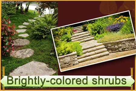 A collage showing a grassy path with stepping stones and a stone staircase surrounded by colorful shrubs and flowers.