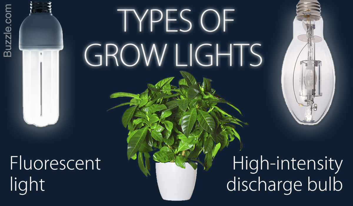 A Brief Guide to Choosing the Best Grow Lights for Indoor Plants