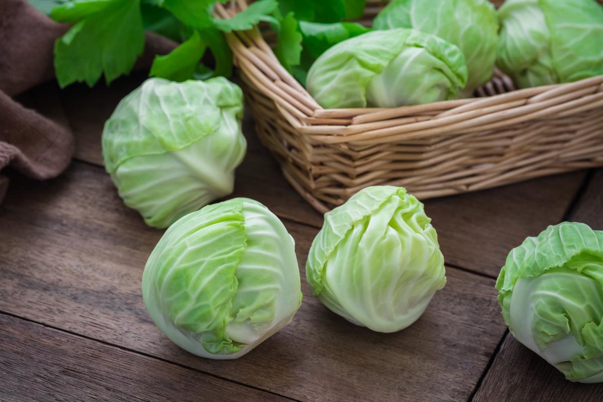Look No Further, Here's a Simple Way of Growing Brussels Sprouts