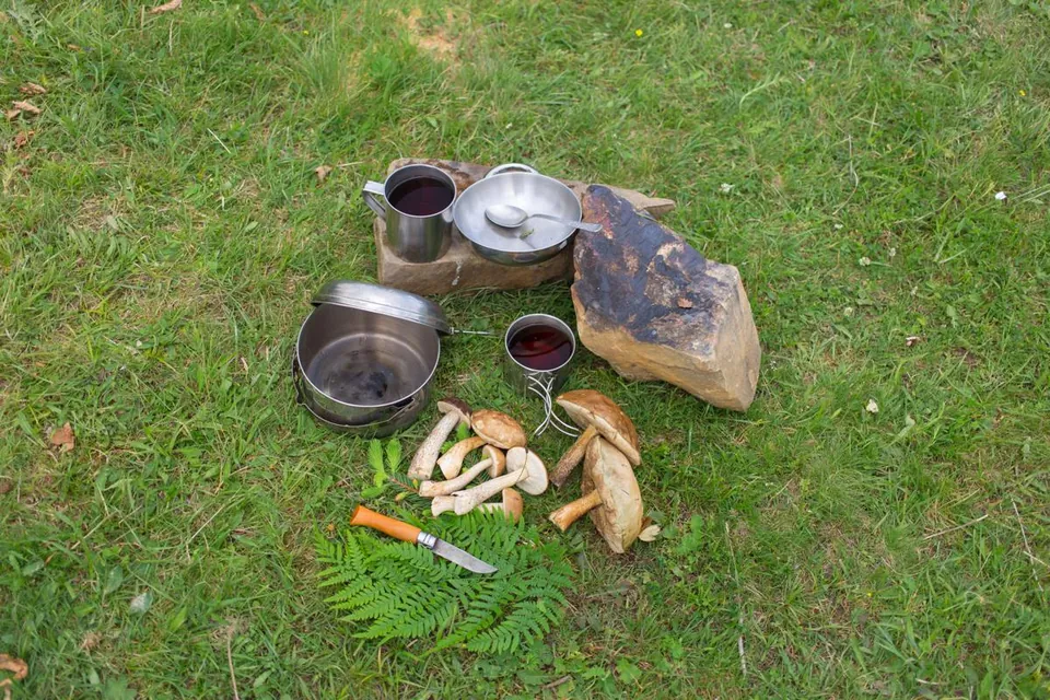 Fresh maitake mushrooms, a knife, and camping cookware arranged on grass beside a fern.