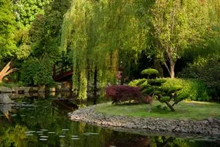 A weeping willow tree and manicured shrubs surround a stone-lined pond with a bridge in a Japanese garden.