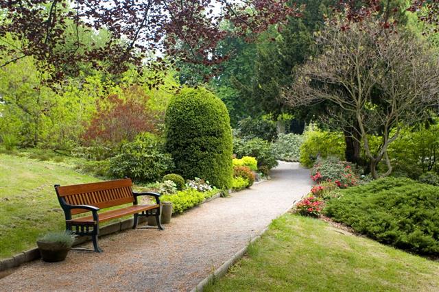 A Beginner's Guide on How to Build a Park Bench Easily