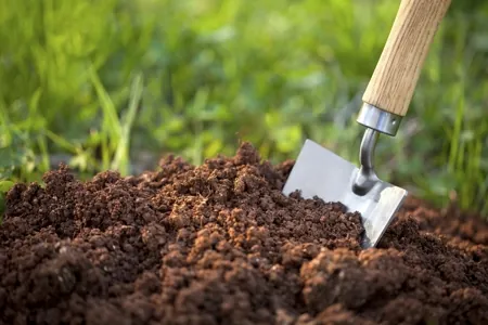 A metal hand trowel with a wooden handle is stuck into dark, rich garden soil with a blurred green background.