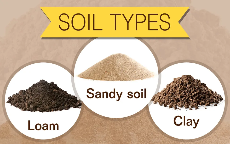 White circles containing piles of Loam, Sandy soil, and Clay are displayed under a yellow banner reading Soil Types.