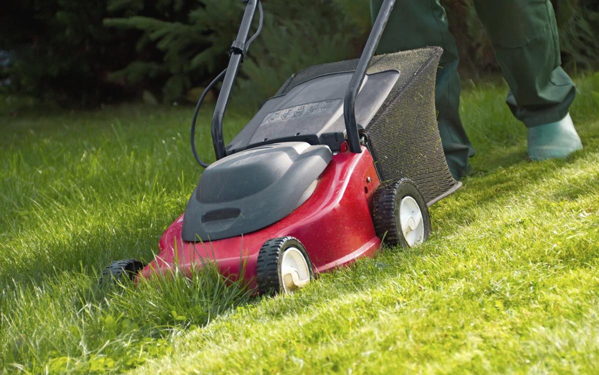 How to Fix Those Unsightly Yellow Spots in Your Lovely Lawn