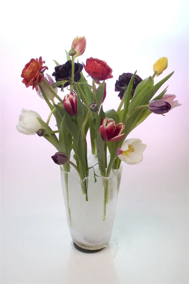 A clear glass vase filled with water holds a colorful arrangement of tulips and flowers in white, red, purple, and yellow.