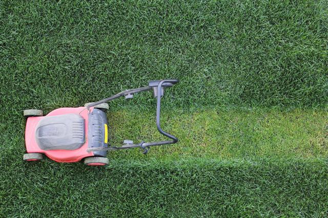 Here's How to Sharpen Lawn Mower Blades for its Efficient Use
