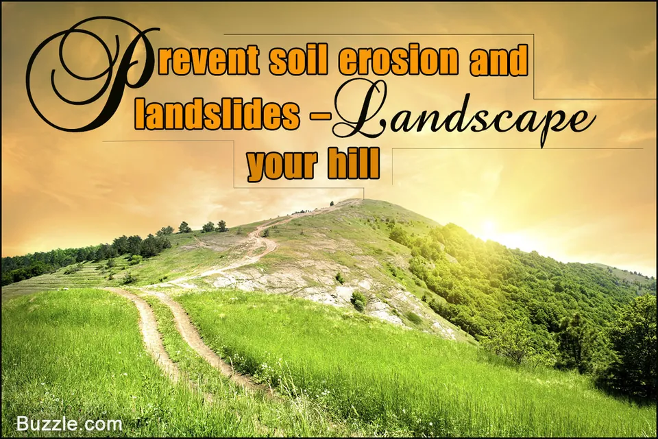 A grassy hillside with a winding dirt path leading up the slope towards trees under a golden sky.