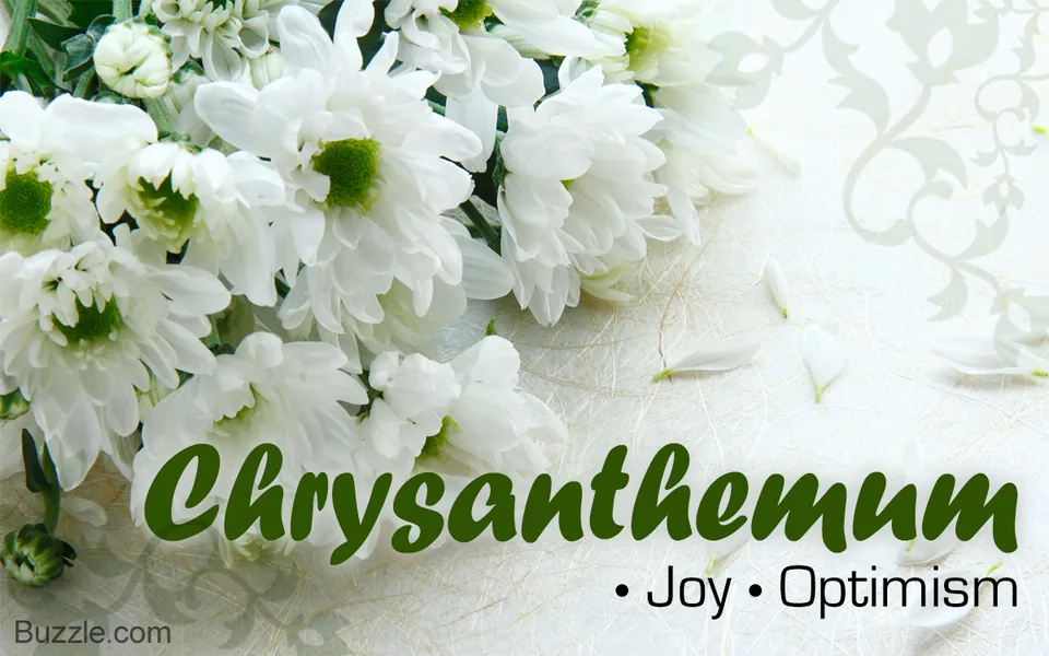 A Truly Complete List of Flower Names and Their Meanings