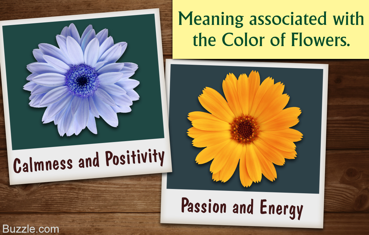 Understanding the Symbolism and Meaning of the Color of Flowers