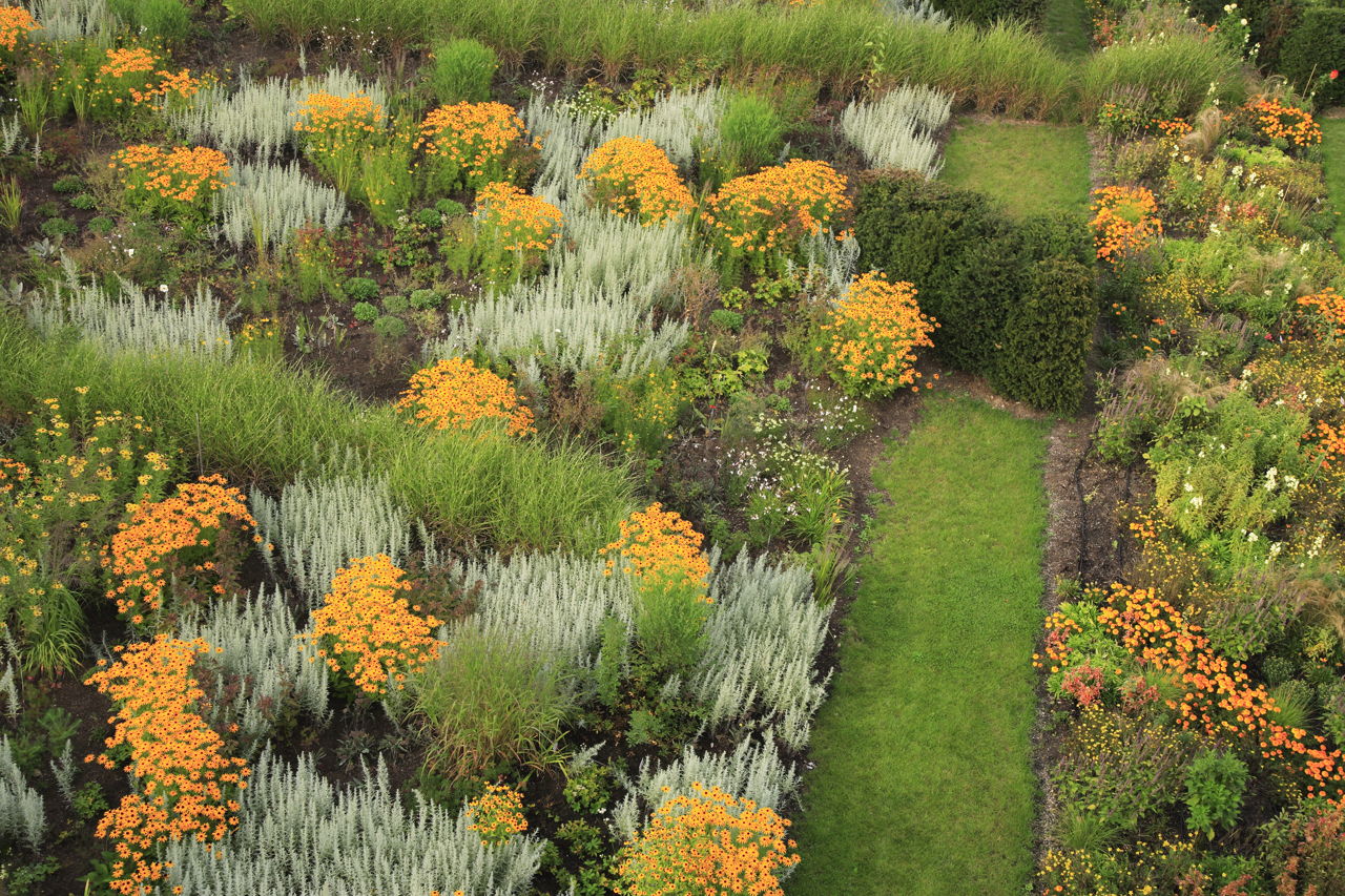 An A-Z List of Ornamental Grasses That Grow Well in the Shade