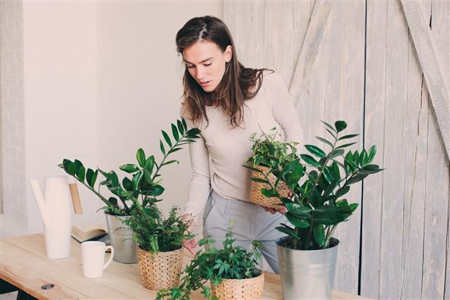 Potting Bench Plans