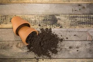 A terracotta pot lying on its side on a wooden surface with dark potting soil spilling out.