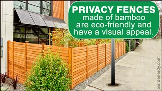 Green bushes grow in front of a horizontal wooden privacy fence along a sidewalk next to a house.