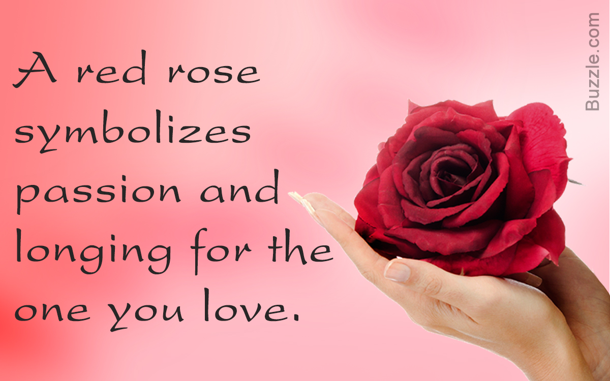 Rose Color Meanings That'll Help You Express the Right Feelings