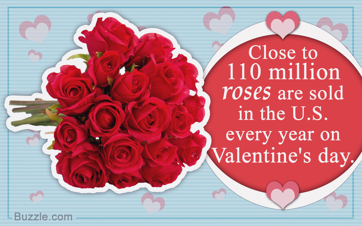 Different Types of Roses to Fill Your Heart With Unparalleled Joy