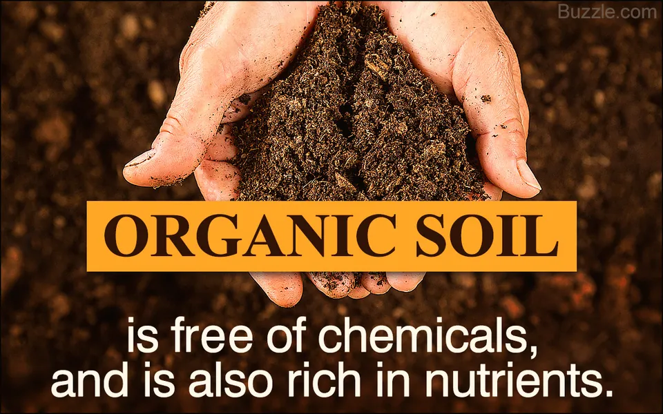 A pair of cupped hands holding a mound of dark, rich organic soil against a blurred background of earth.