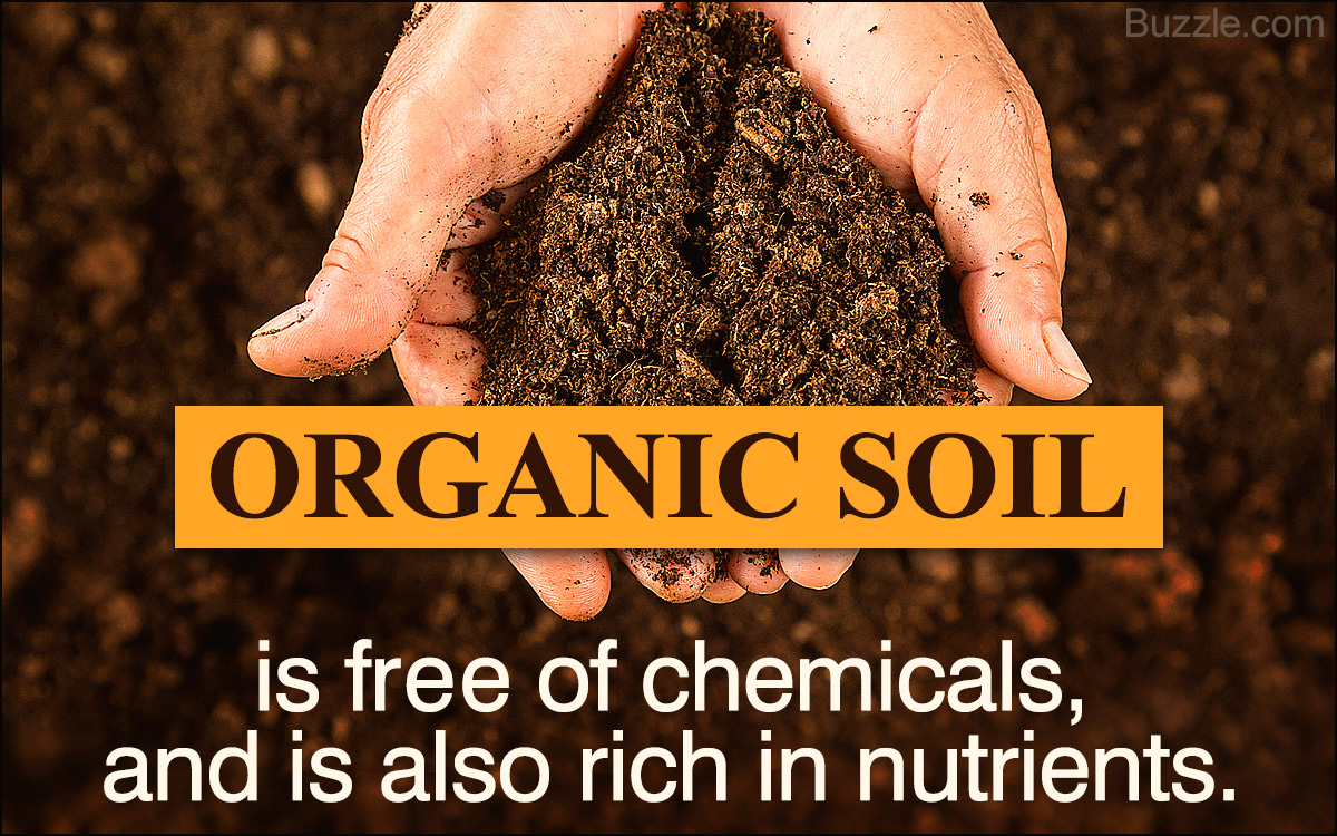 The Different Soil Horizons Explained in the Simplest Way Possible