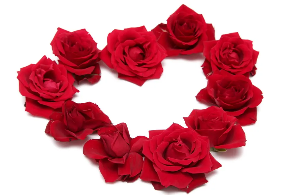 Red roses arranged in a heart shape on a white background.