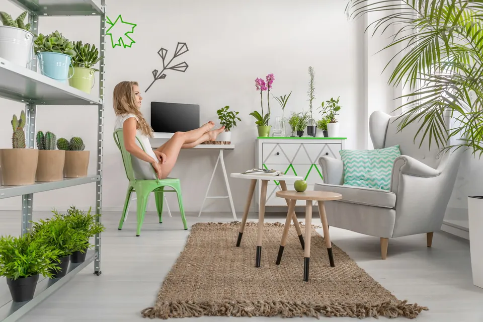 A bright living room filled with houseplants features a woman at a desk, shelves of cacti, and a large palm tree.