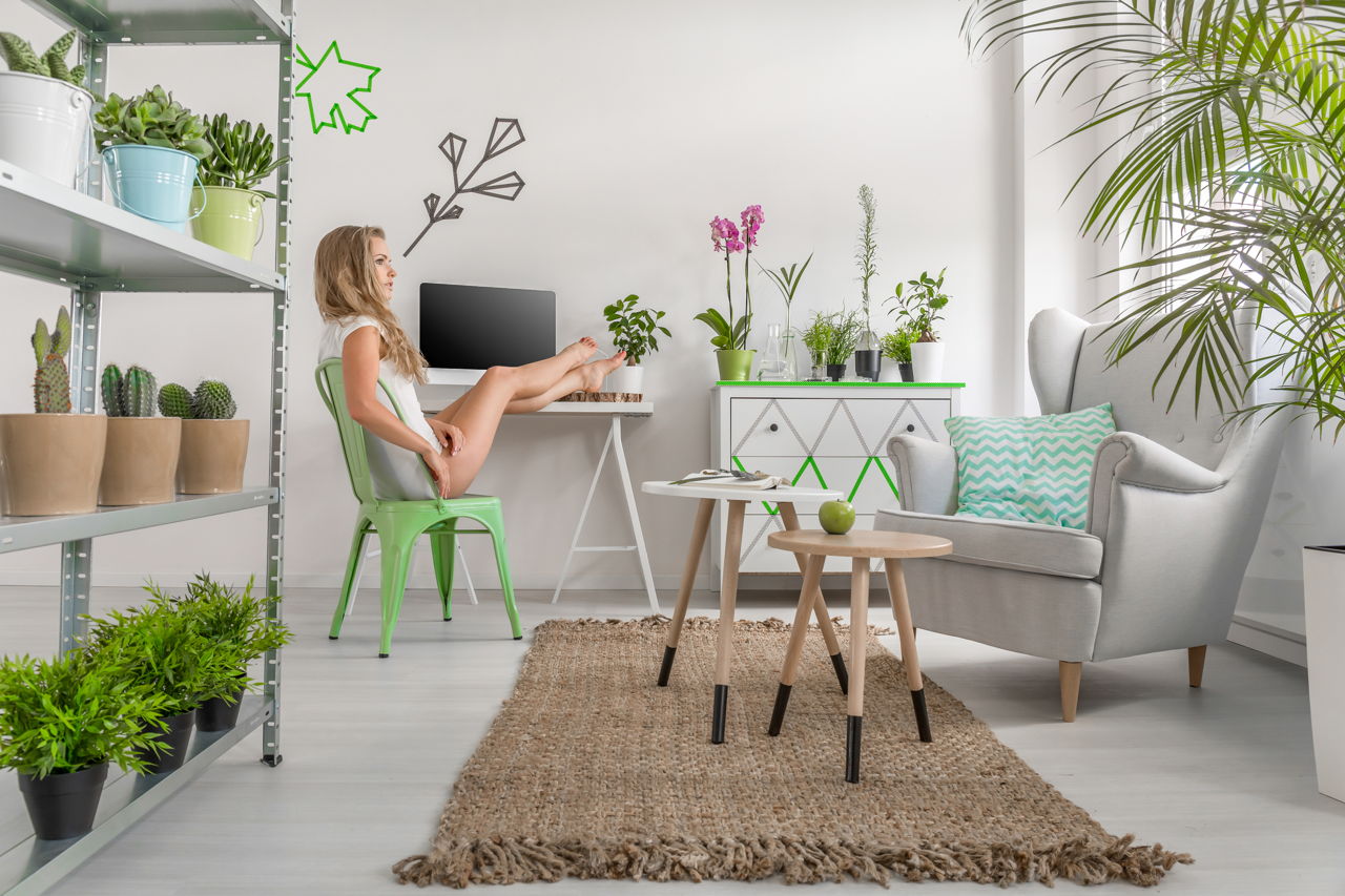 Fabulously Useful Tips to Take Care of Tropical Houseplants