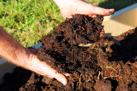 Types of Potting Soil