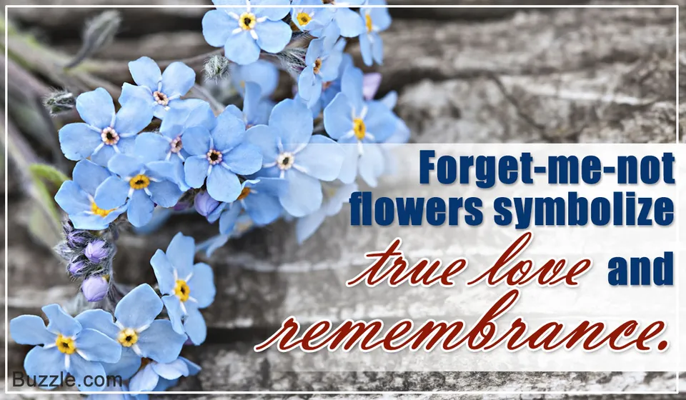 A cluster of blue forget-me-not flowers with yellow centers resting on a textured grey stone surface.