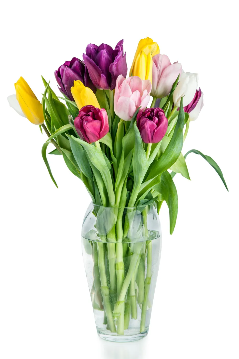 A colorful bouquet of yellow, purple, pink, and white tulips arranged in a clear glass vase against a white background.