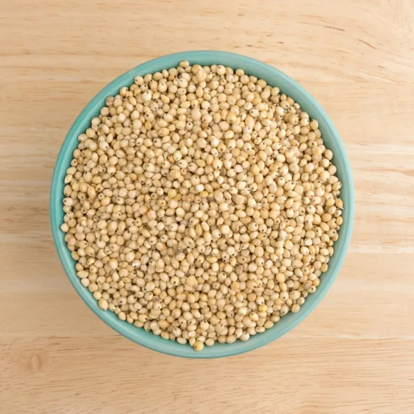 A teal bowl filled with dried beige sorghum grains sits on a light wooden surface.