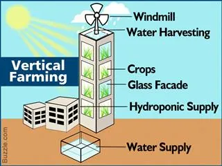 An infographic diagram of a vertical farming building with crops growing on multiple floors, featuring a windmill and labels for hydroponic supply.