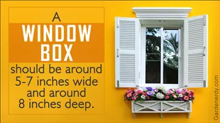 A white window box filled with pink and purple flowers sits beneath a window with open white shutters.
