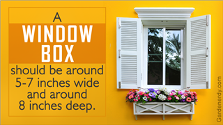 Outstandingly Creative Window Box Ideas With Pictures