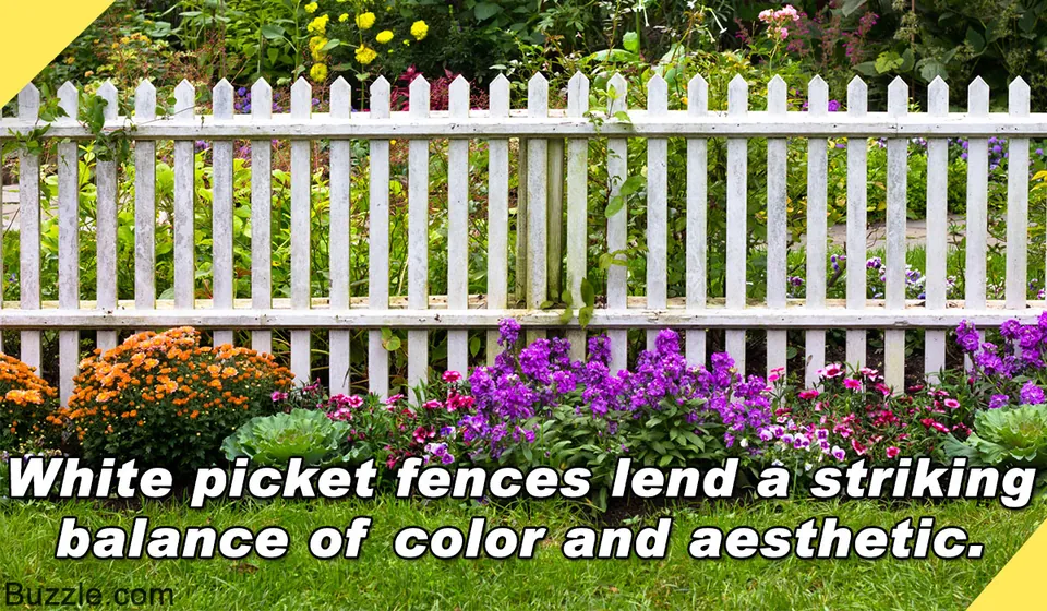 A white picket fence borders a lush garden bed featuring vibrant purple and orange flowers.