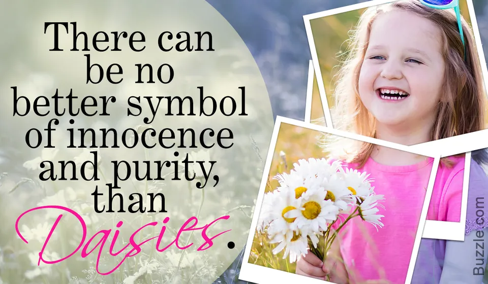 A smiling girl holds a bouquet of white daisies in a field next to text stating daisies are a symbol of innocence.