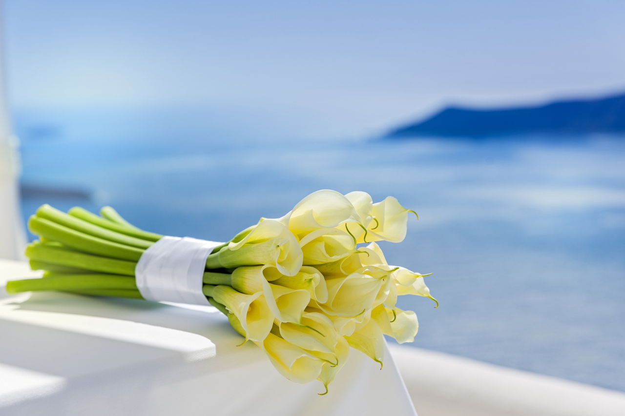 Bouquet With Yellow Callas