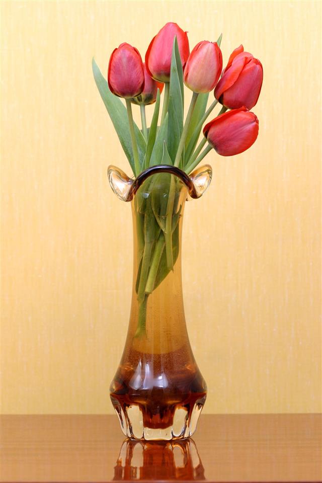 Tulips