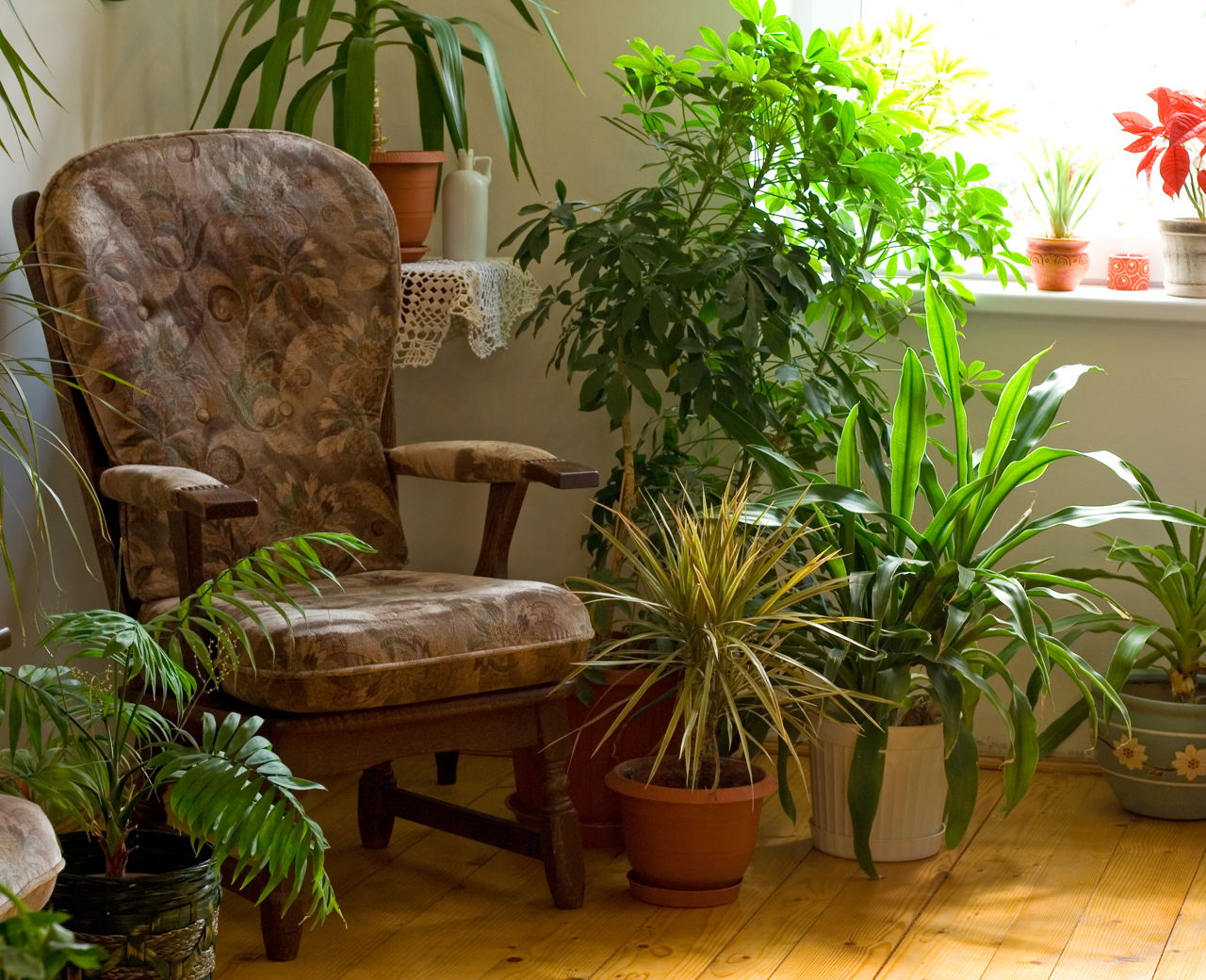 Cozy Corner At Home