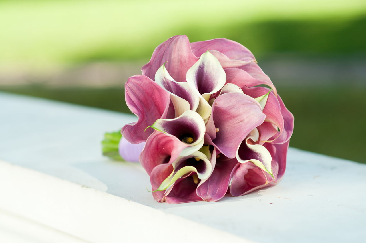 Calla Wedding Bouquet