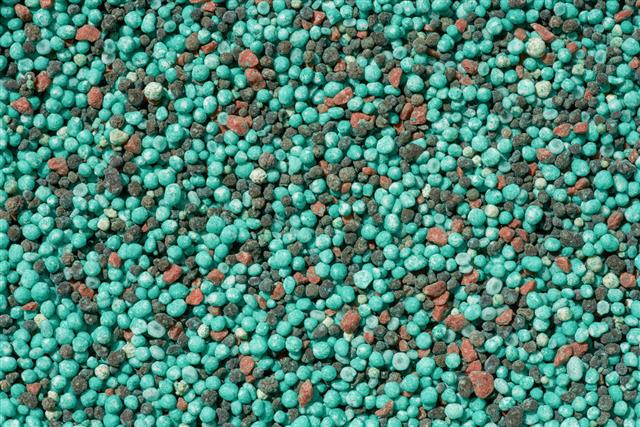 Compound Fertilizer